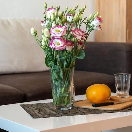 Ferienpark-heiligenhafen-haus-k-wohnung-07-07 * ハイリゲンハーフェン